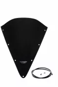 FZS 600 FAZER - Racing windscreen "R" 2002-2003